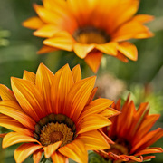 _mg_0621-edit_card