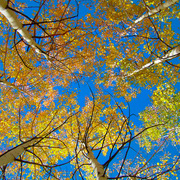 Dscf1030_16x12_card