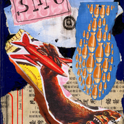 Coverfrtlgsh_card