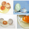 Eggs_thumb