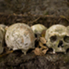 Skullslowres2_thumb