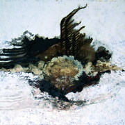Picture_013_card