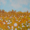 155_cotton_field_11x_thumb