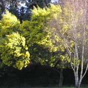 Fotos4_017_card