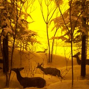 100_2865_card