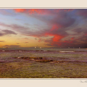 Reef_sunset_card