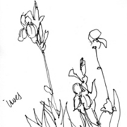 10jun08_card