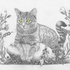 Kitty25_thumb