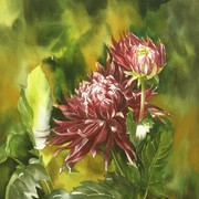 Dahlia_16x16_card