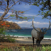 936-his_private_beach_card