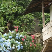 Img_0144_card