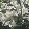 Night_lilies_20x32