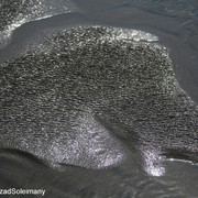 Img_0199_card