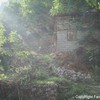Img_0234_thumb