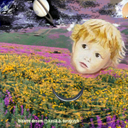 Bizzare__dream_2__copy_copy_card