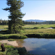 937b-burro_meadows_card