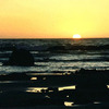 Morbch_thumb