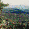 Murlinsm_thumb