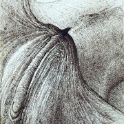 Hpim0497_card
