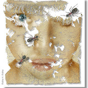 Ants_card