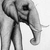 62_thumb