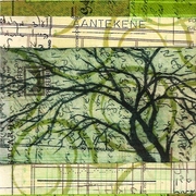 Tree_interuptedcrop_card