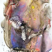 Caballo_card