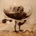 Worldbird_square