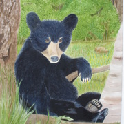 Fini_blk_bear_card