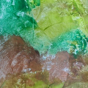 Hpim0488_card