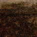 Reddscn5163_square