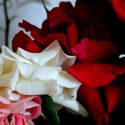 Dsc_2782_card