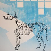 Canis_lupus_familiaris_card