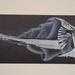 Ensayo_005_square