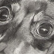 Eyes_of_nicki_card