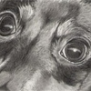 Eyes_of_nicki_thumb