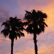 Floridian_twilight_2008_3_card