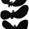 Batty_things_