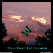Butterfly_poster_1_card