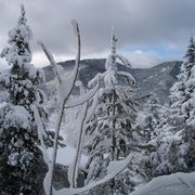 Winter_-_2008_card