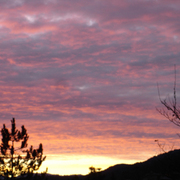 Sunrise_-_x-mas_morning_2007_card