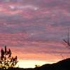 Sunrise_-_x-mas_morning_2007_thumb