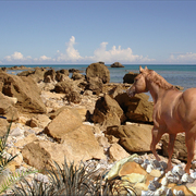 941-namibian_rocky_shoreline_card