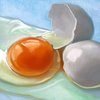 Egg-yolk_thumb