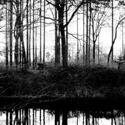 Reflections_card