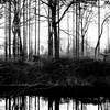 Reflections_thumb