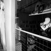 Amsterdam-3_thumb