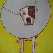 Conedogfinal_card