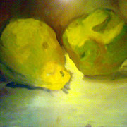 Frutasybodegones