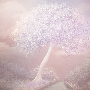 Print_soft_and_sweet_card